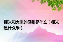 粳米和大米的区别是什么（梗米是什么米）