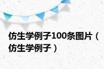 仿生学例子100条图片（仿生学例子）