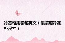 冷冻柜集装箱英文（集装箱冷冻柜尺寸）