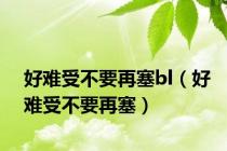 好难受不要再塞bl（好难受不要再塞）