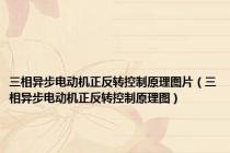 三相异步电动机正反转控制原理图片（三相异步电动机正反转控制原理图）