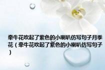 牵牛花吹起了紫色的小喇叭仿写句子月季花（牵牛花吹起了紫色的小喇叭仿写句子）