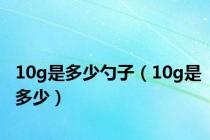 10g是多少勺子（10g是多少）