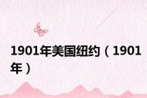 1901年美国纽约（1901年）