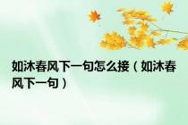 如沐春风下一句怎么接（如沐春风下一句）