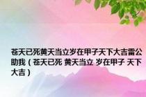 苍天已死黄天当立岁在甲子天下大吉雷公助我（苍天已死 黄天当立 岁在甲子 天下大吉）