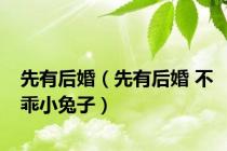 先有后婚（先有后婚 不乖小兔子）
