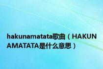 hakunamatata歌曲（HAKUNAMATATA是什么意思）