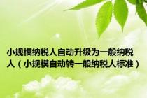 小规模纳税人自动升级为一般纳税人（小规模自动转一般纳税人标准）