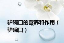 驴碗口的营养和作用（驴碗口）