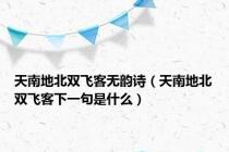 天南地北双飞客无韵诗（天南地北双飞客下一句是什么）