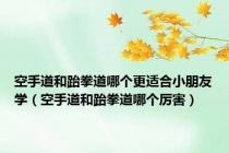 空手道和跆拳道哪个更适合小朋友学（空手道和跆拳道哪个厉害）