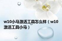 w10小马激活工具怎么样（w10激活工具小马）