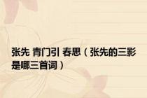张先 青门引 春思（张先的三影是哪三首词）