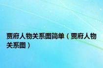贾府人物关系图简单（贾府人物关系图）