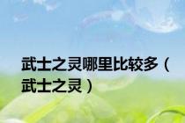 武士之灵哪里比较多（武士之灵）