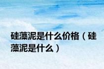 硅藻泥是什么价格（硅藻泥是什么）