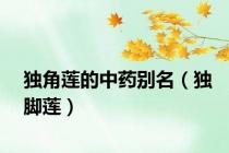 独角莲的中药别名（独脚莲）