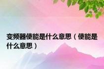 变频器使能是什么意思（使能是什么意思）