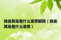 独善其身是什么意思解释（独善其身是什么意思）