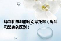 碟刹和鼓刹的区别摩托车（碟刹和鼓刹的区别）
