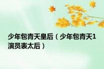 少年包青天皇后（少年包青天1演员表太后）