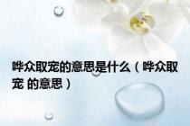 哗众取宠的意思是什么（哗众取宠 的意思）