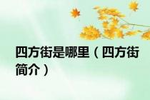 四方街是哪里（四方街简介）