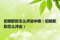 初级职称怎么评定中级（初级职称怎么评定）