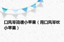 口风琴简谱小苹果（用口风琴吹小苹果）