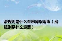 潜规则是什么意思网络用语（潜规则是什么意思）