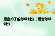 后宫妃子的等级划分（后宫等级划分）