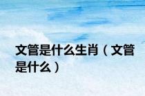 文管是什么生肖（文管是什么）