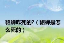 貂蝉咋死的?（貂蝉是怎么死的）