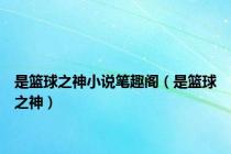 是篮球之神小说笔趣阁（是篮球之神）