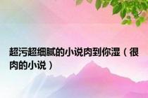 超污超细腻的小说肉到你湿（很肉的小说）