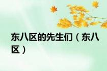 东八区的先生们（东八区）