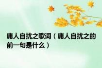 庸人自扰之歌词（庸人自扰之的前一句是什么）