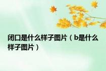闭口是什么样子图片（b是什么样子图片）