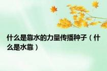 什么是靠水的力量传播种子（什么是水靠）