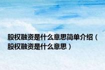 股权融资是什么意思简单介绍（股权融资是什么意思）