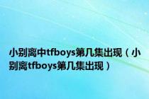 小别离中tfboys第几集出现（小别离tfboys第几集出现）