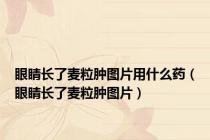 眼睛长了麦粒肿图片用什么药（眼睛长了麦粒肿图片）