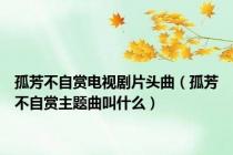 孤芳不自赏电视剧片头曲（孤芳不自赏主题曲叫什么）