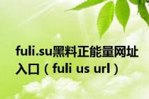fuli.su黑料正能量网址入口（fuli us url）