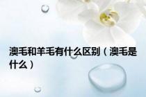澳毛和羊毛有什么区别（澳毛是什么）