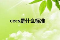 cecs是什么标准