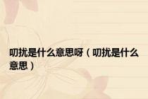 叨扰是什么意思呀（叨扰是什么意思）