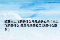 歌曲天上飞的是什么鸟儿还是云朵（天上飞的是什么 是鸟儿还是云朵 这是什么歌名）