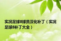 实况足球8球员汉化补丁（实况足球8补丁大全）